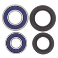 Kit rodamientos de rueda All Balls 25-1042 ALL BALLS 25-1042