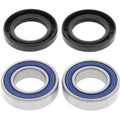 Kit rodamientos de rueda All Balls 25-1569 ALL BALLS 25-1569