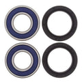 Kit rodamientos de rueda All Balls 25-1389 ALL BALLS 25-1389
