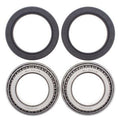 Kit All Balls de rodamientos y retenes de rueda delantera/trasera Can-Am DS650 ALL BALLS 25-1432