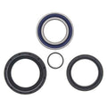 Kit rodamientos de rueda All Balls 25-1513 ALL BALLS 25-1513