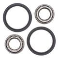 Kit All Balls de rodamientos y retenes del puntal delantero ALL BALLS 25-1006