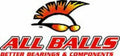 Kit de rodamientos diferencial All Balls 25-2066-5 ALL BALLS 25-2066-5