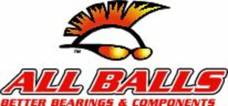 Kit de rodamientos diferencial All Balls 25-2066-5 ALL BALLS 25-2066-5
