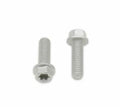 Tornillos con cabeza hexagonal/Torx BOLT M6 x 1,00 x 20mm BOLT 024-60620