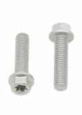 Tornillos con cabeza hexagonal/Torx BOLT M6 x 1,00 x 25mm BOLT 024-60625