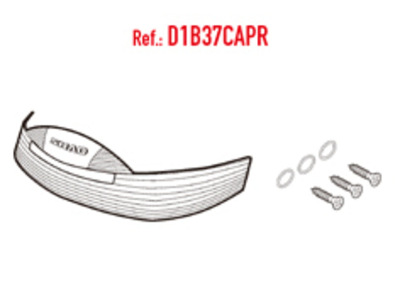 Recambio CATAD. PINTADO SH37 2012 SHAD D1B371CAPR