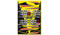 Set adhesivos BLACKBIRD Suzuki BLACKBIRD 5329