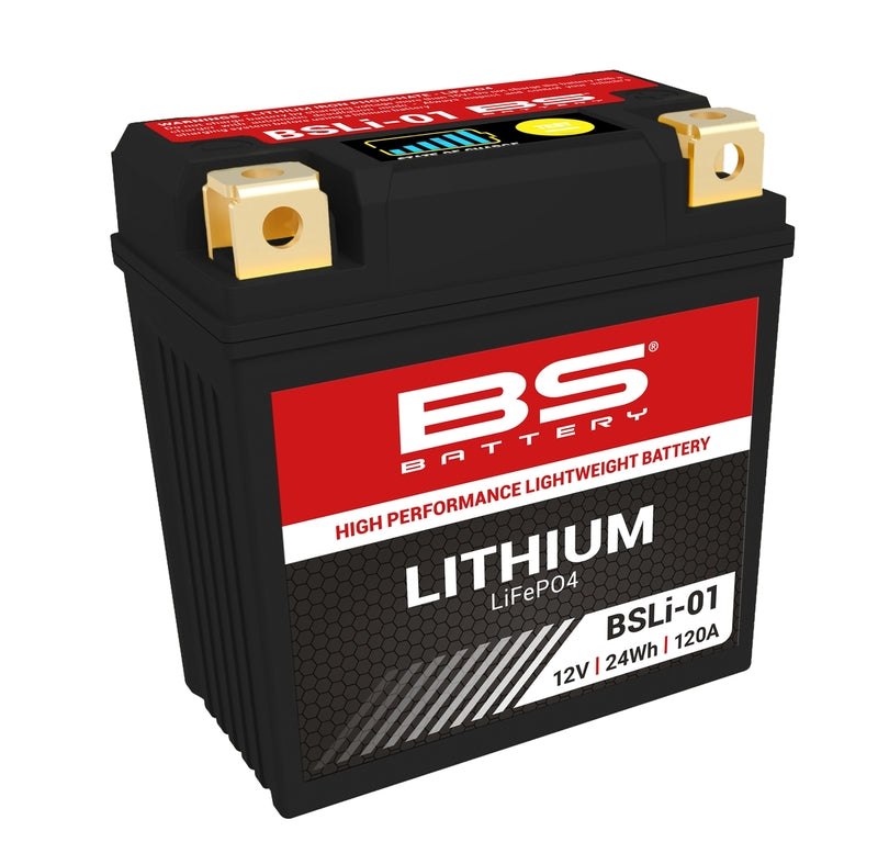 Batería de litio BS BATTERY BSLI-01 LFP01 BS BATTERY 360101