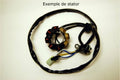 STATOR KTM SX65/85/105 ELECTROSPORT ESC221