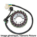 STATOR Suzuki 650 Gladius ELECTROSPORT ESG793