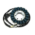 STATOR CBR900RR 02-03 ELECTROSPORT ESG954