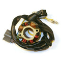 STATOR /w Lightning Coil Kawasaki KX250F/Suzuki RM-Z250 ELECTROSPORT ESL730