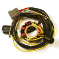 STATOR /w Lightning Coil Kawasaki KX250F/Suzuki RM-Z250 ELECTROSPORT ESL740