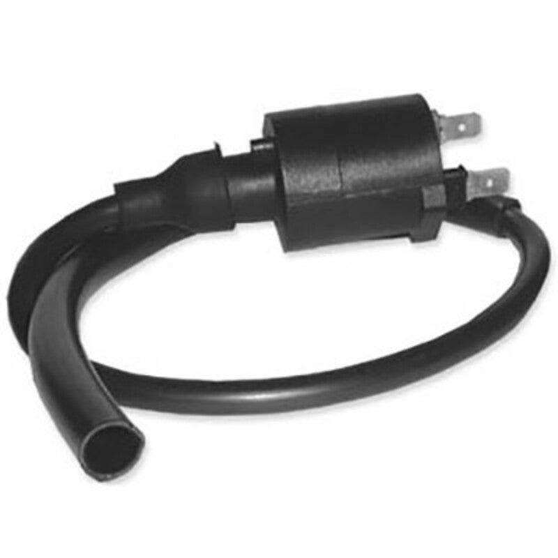 Bobina DZE 4018 TRX 400/450 Encendido elec. CDI DZE 4018