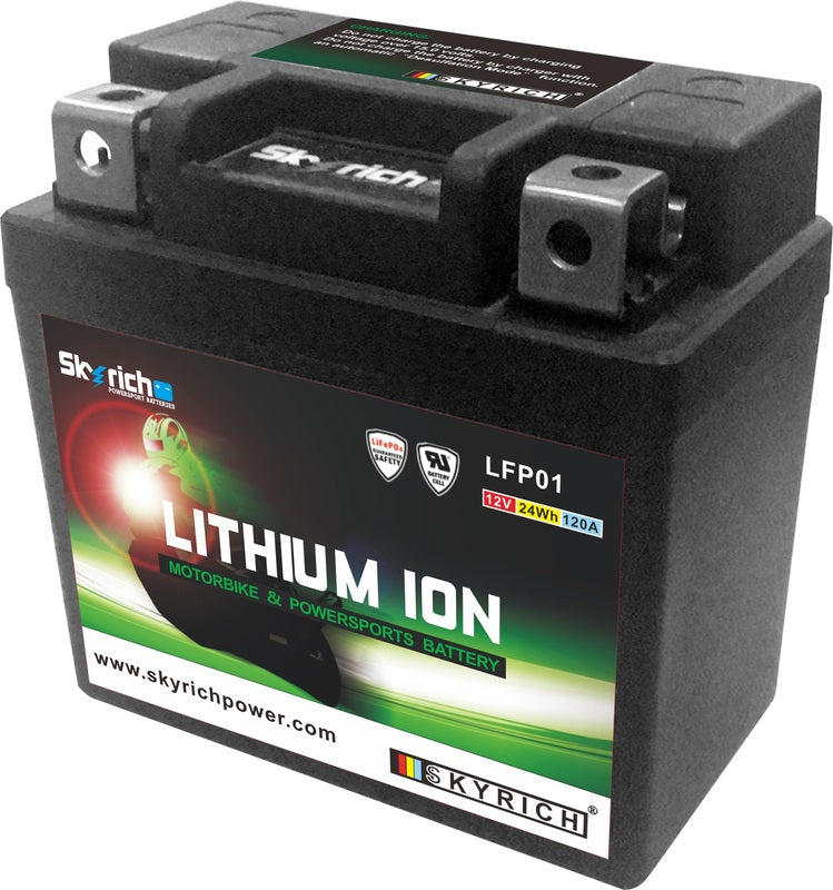 Bateria de litio SKYRICH - LTKTM04L SKYRICH LFP01