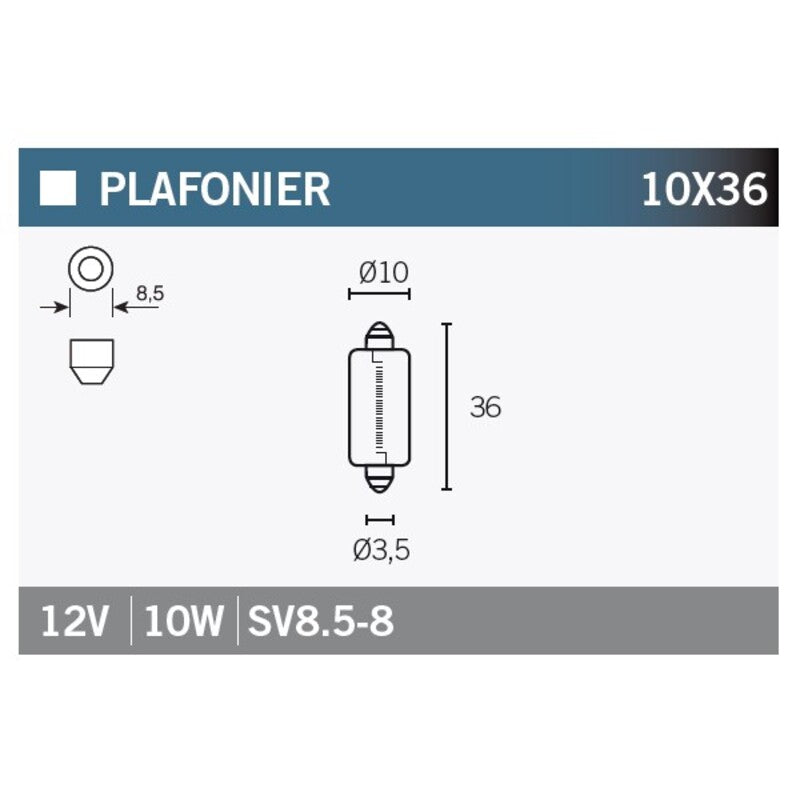 Caja de 10 lámparas SV8.5-8 12V10W V PARTS SV8.5-8-12V10W