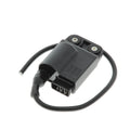 CDI y Bobina alta tensión TECNIUM Piaggio 50 2T TECNIUM 1869962