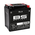Batería BS BATTERY SLA BIX30L (FA) BS BATTERY 300631