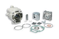 Kit Malossi Ø65mm 172,5CC MALOSSI 3111140