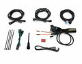 Controlador Canbus Plug-N-Play DENALI CANsmart Gen II BMW R1200 Hex Head DENALI DNL.WHS.11802