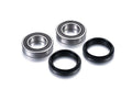 Kit de rodamientos de rueda FACTORY LINKS FACTORY LINKS ARA-Y-010