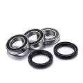 Kit de rodamientos de rueda trasera FACTORY LINKS FACTORY LINKS RWK-K-123