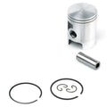 Pistón Airsal AM6 Ø50 06134950 AIRSAL 6134950