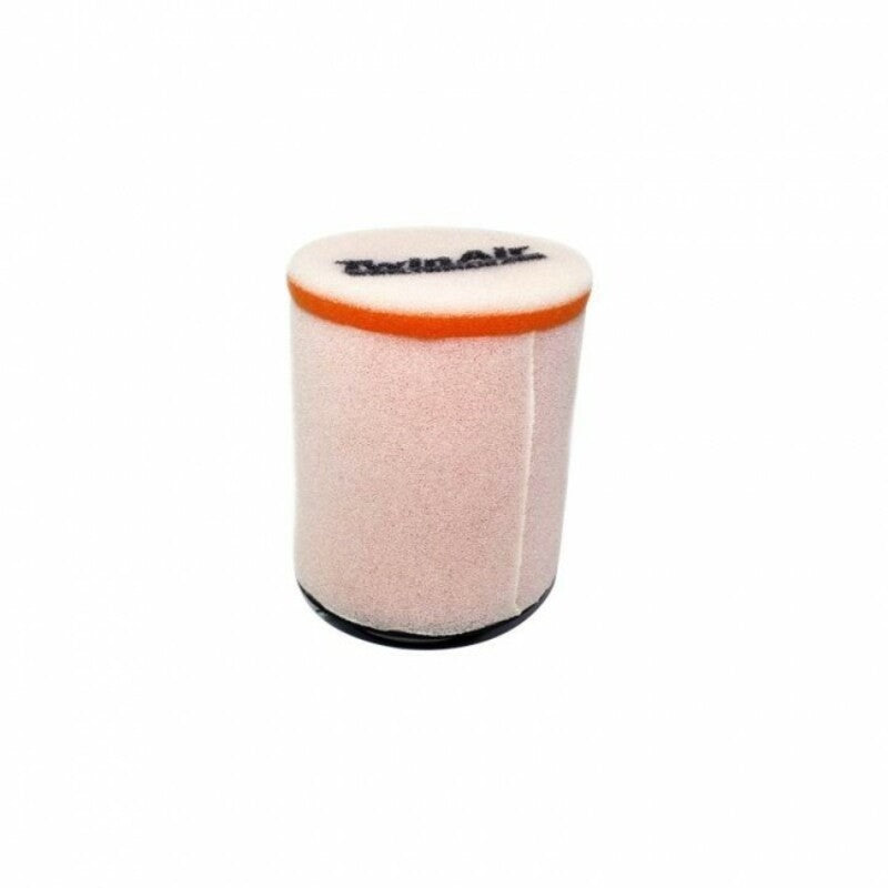 Filtro de aire Twin Air 150915 TWIN AIR 150915