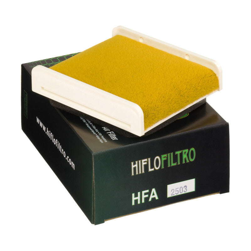 Filtro de Aire Hiflofiltro HFA2503 HIFLOFILTRO HFA2503