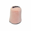 Filtro de aire Twin Air 156059FR TWIN AIR 156059FR