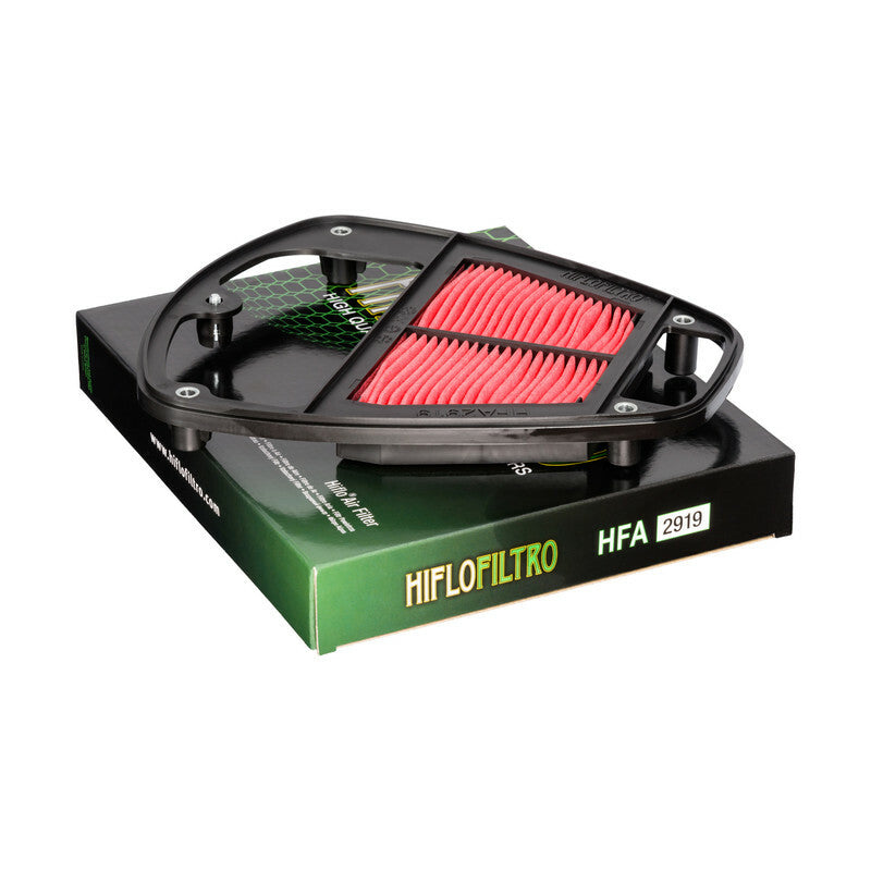 Filtro de aire Hiflofiltro HFA2919 HIFLOFILTRO HFA2919