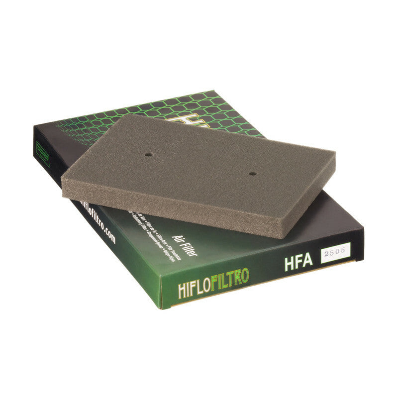 Filtro de Aire Hiflofiltro HFA2505 HIFLOFILTRO HFA2505