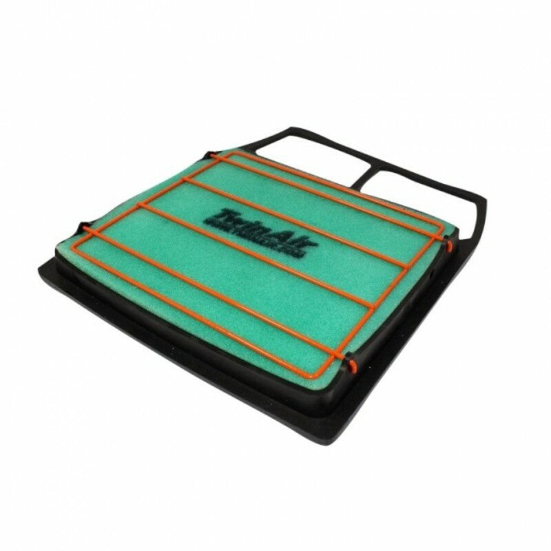 Filtro de aire Twin Air 156063P TWIN AIR 156063P