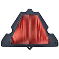Filtro aire Kawasaki TECNIUM MT201-KA001