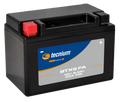 Batería TECNIUM activada BTX9 FA TECNIUM 820674