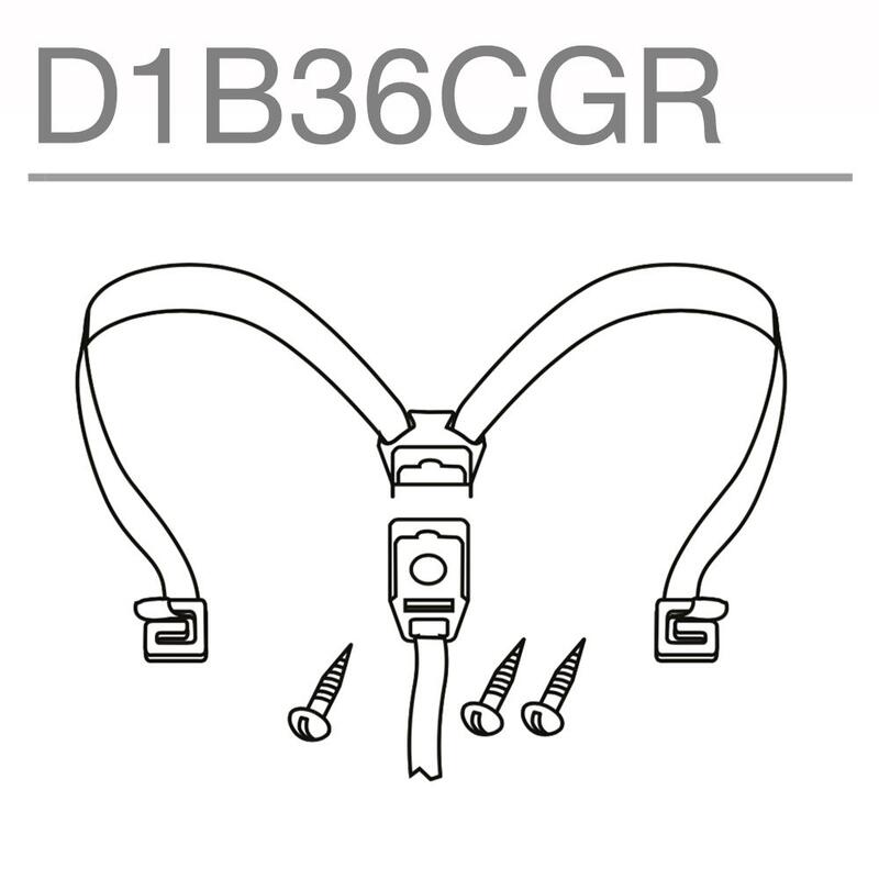 SET BUCKLES SH36 SHAD D1B36CGR