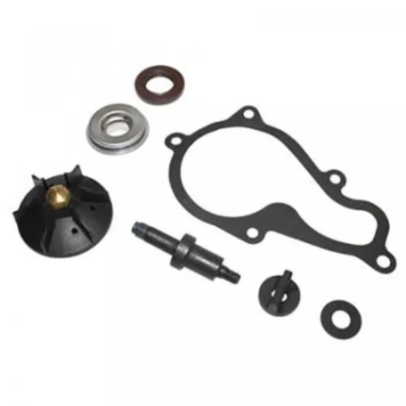 Kit de reparación de bomba de agua TOP PERFORMANCES - Piaggio Beverly 350 TOP PERFORMANCES AA00829