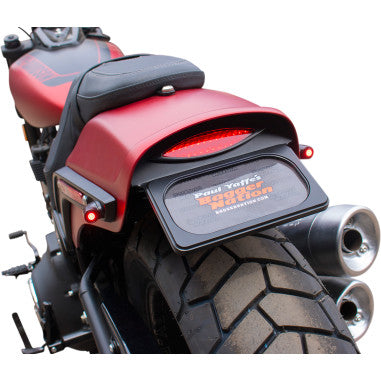 LICENSE PLATE RELOCATION FRAME W/ TAILLIGHT FOR HARLEY-DAVIDSON