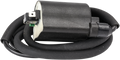 RICK'S MOTORSPORT ELECTRIC IGNITION COILS COIL HONDA/KAWASAKI