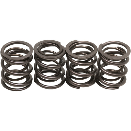 Valve Spring Kit per Harley Davidson