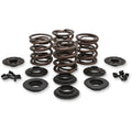 KOMPLETTE VENTILFEDER-KITS FÜR HARLEY DAVIDSON