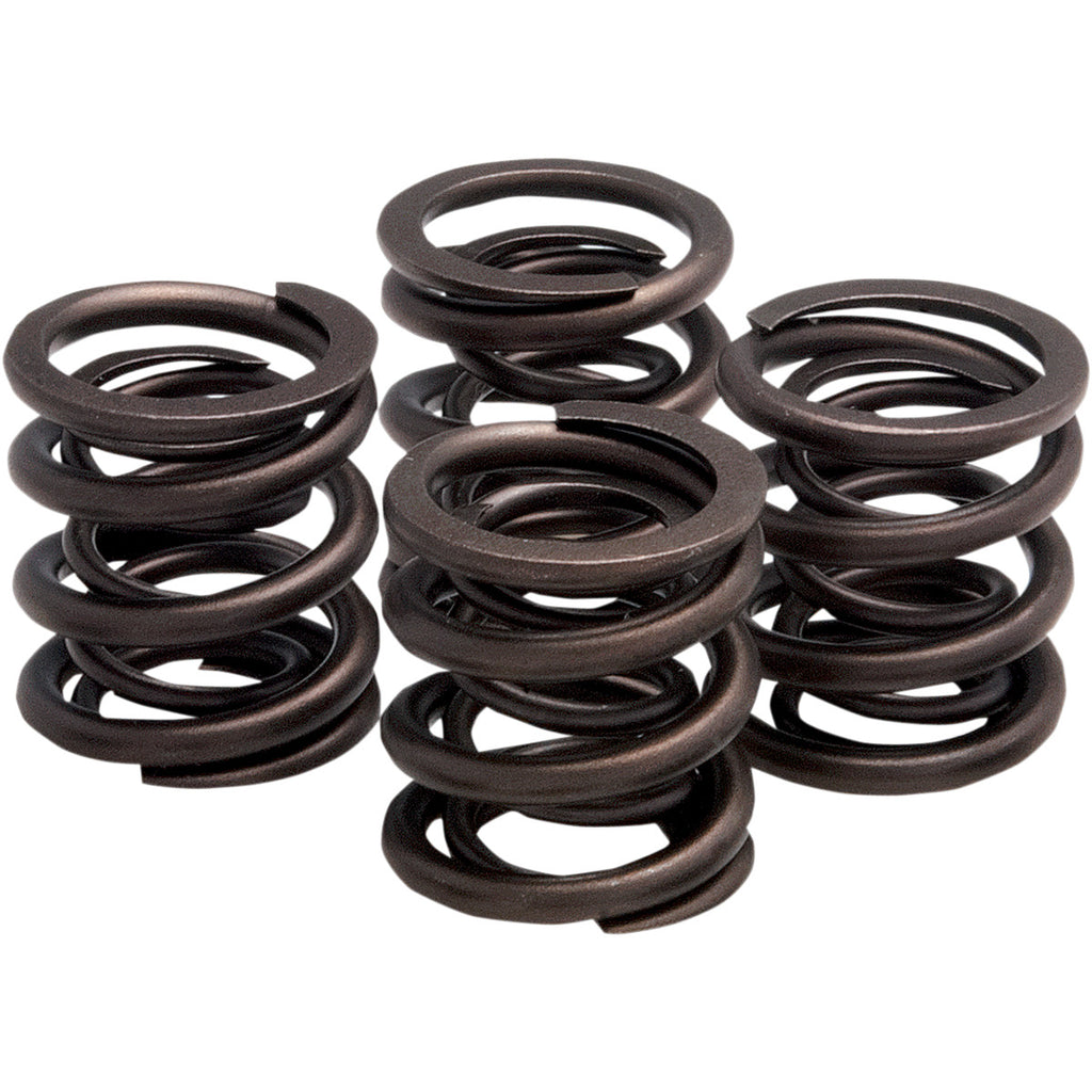 VALVE SPRING KIT FOR HARLEY DAVIDSON