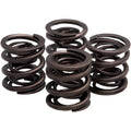 VALVE SPRING KIT FOR HARLEY DAVIDSON