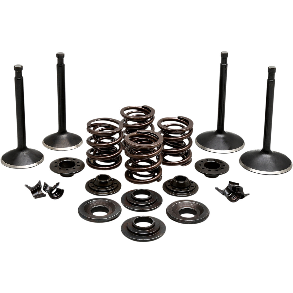 Black Diamond ™ Engine Valve Kits for Harley Davidson