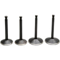 BLACK DIAMOND™ VALVE KITS FOR HARLEY DAVIDSON