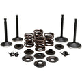 BLACK DIAMOND™ MOTORVENTIL-KITS FÜR HARLEY DAVIDSON