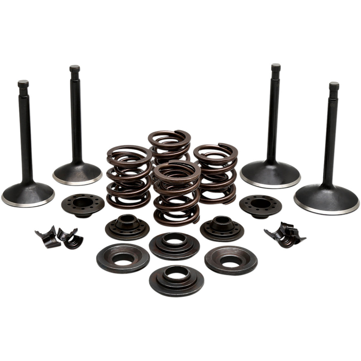 BLACK DIAMOND™ MOTORVENTIL-KITS FÜR HARLEY DAVIDSON