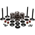 BLACK DIAMOND™ MOTORVENTIL-KITS FÜR HARLEY DAVIDSON