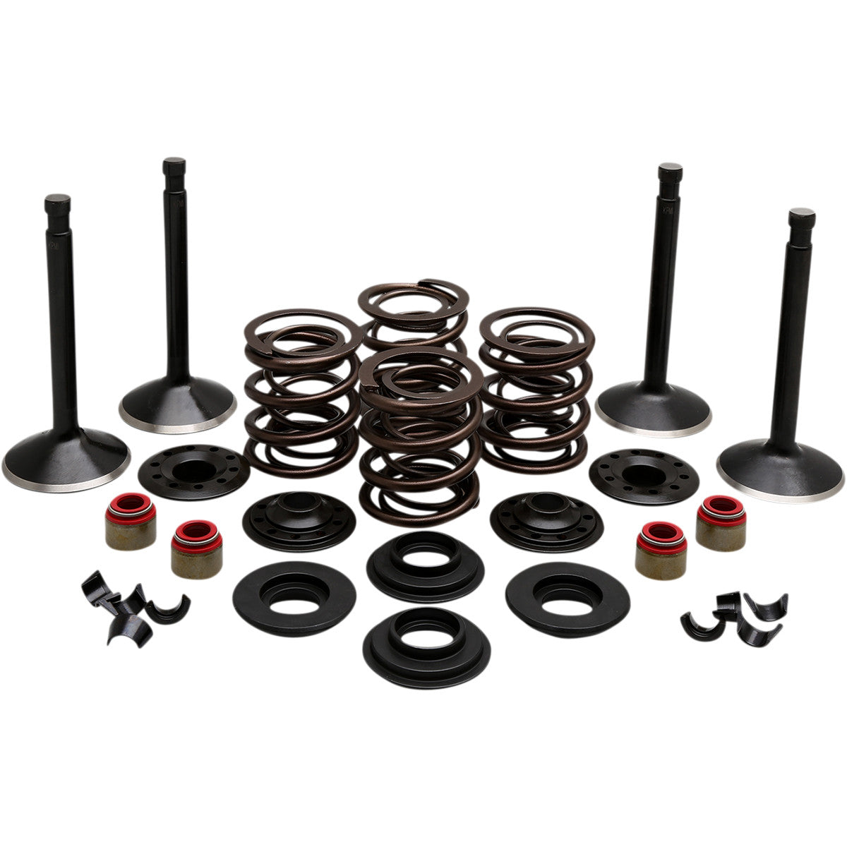 BLACK DIAMOND™ MOTORVENTIL-KITS FÜR HARLEY DAVIDSON